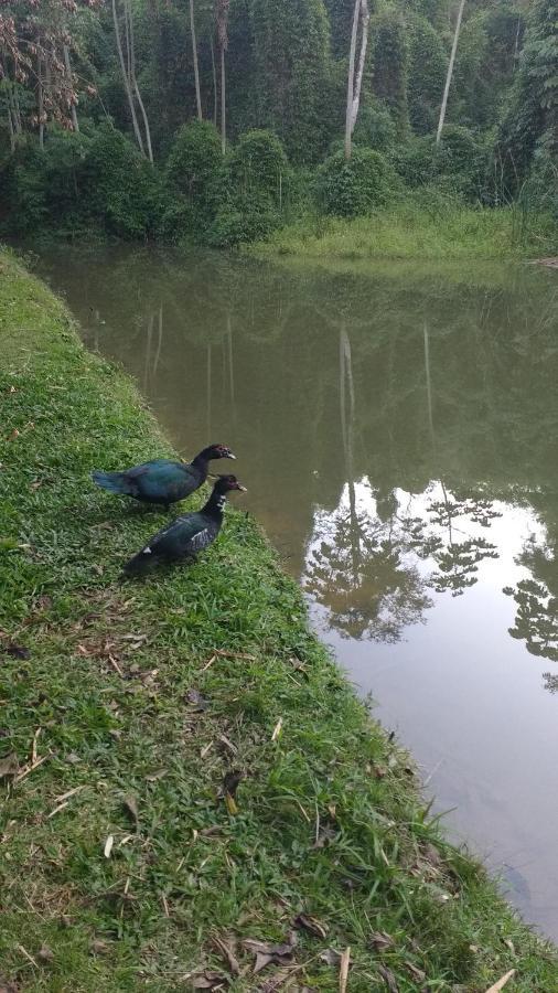 Casa De Campo Rosa Dos Ventos Rodeio Bagian luar foto